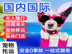 和田机场货运国际宠物托运 【国